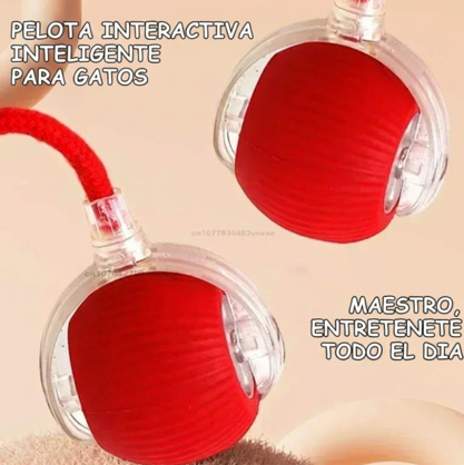 Pelota Interactiva Gatos