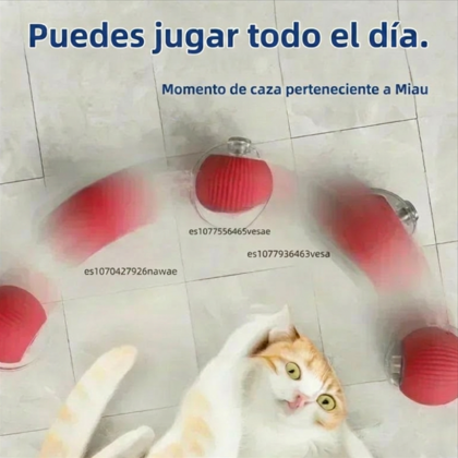 Pelota Interactiva Gatos