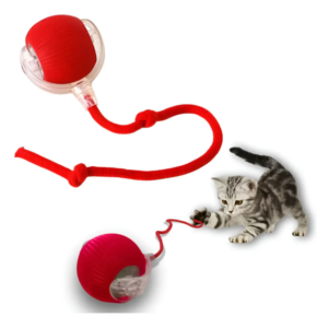 Pelota Interactiva Gatos