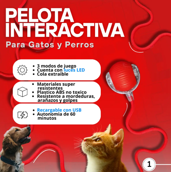 Pelota Interactiva Gatos - Image 2