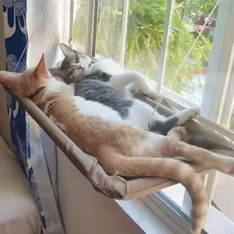 Cama Colgante Gato Ventana